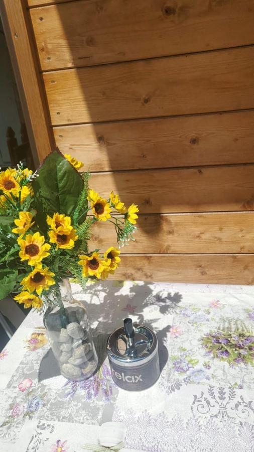 Camping Onda Azzurra Hotell Ortona Exteriör bild