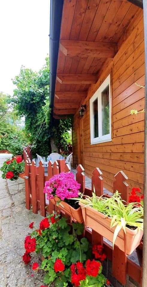 Camping Onda Azzurra Hotell Ortona Exteriör bild